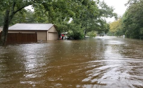 Hurricane Harvey